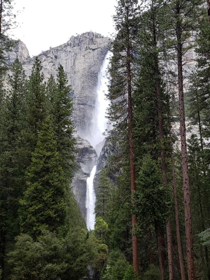 Готель Yosemite Foothill Retreat Коарсголд Екстер'єр фото
